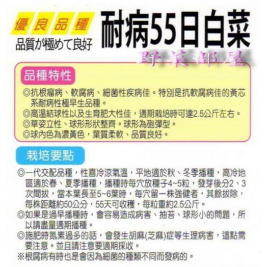 【萌田種子~】G05 日本耐病55日白菜種子0.45公克(約100粒), 俗稱＂煙台仔 ＂~-細節圖2