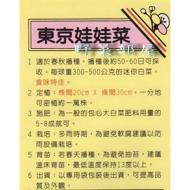【萌田種子~】G06 東京娃娃菜種子0.32公克(約80粒) , 可愛又甜美~-細節圖2