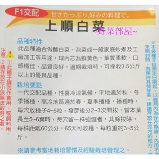 【萌田種子~】G07 日本上順白菜種子0.35公克(約130粒) , 做泡菜 , 酸白菜的第一選擇~-細節圖2