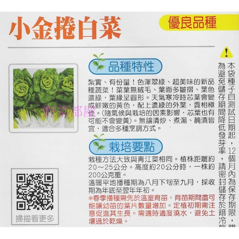 【萌田種子~】G09 小金捲白菜種子0.16公克(約60顆) ,紮實、有份量 ,好種植~-細節圖2