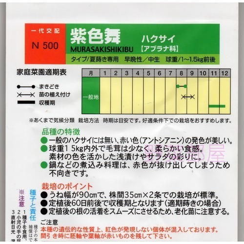【萌田種子~】G10 紫奏子結球白菜種子1粒 , 視覺味覺極佳 , 每包10元(出清價) ~-細節圖2