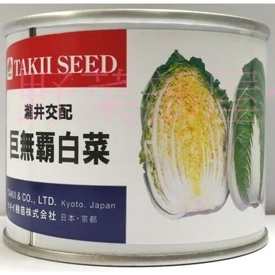 【萌田種子~】G11 日本巨無霸白菜種子0.33公克(約100粒) , 葉質柔軟 , 晚生品種~-細節圖4