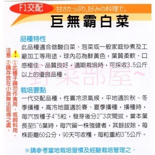 【萌田種子~】G11 日本巨無霸白菜種子0.33公克(約100粒) , 葉質柔軟 , 晚生品種~-細節圖2
