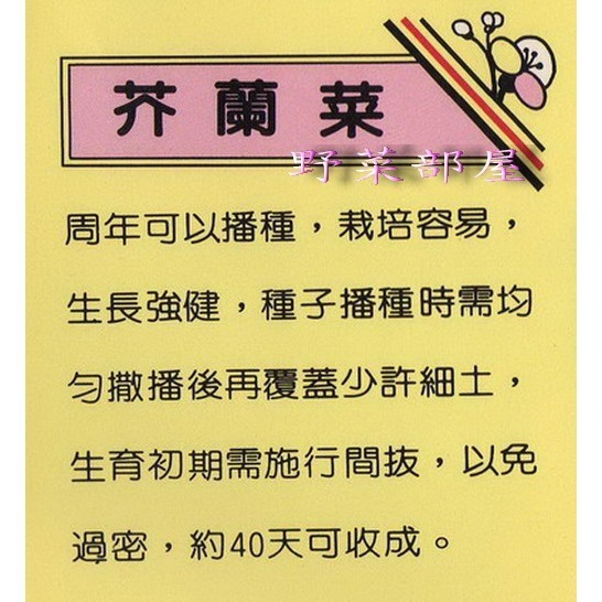 【萌田種子~】H01 芥蘭菜種子19.1公克(約4000粒) , 又名格蘭菜~-細節圖2