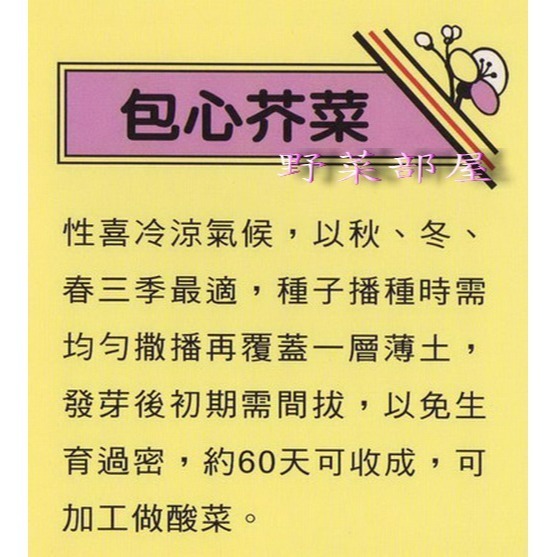 【萌田種子~】H04 包心芥菜種子4.6公克(約2500粒) , 長年菜~-細節圖2