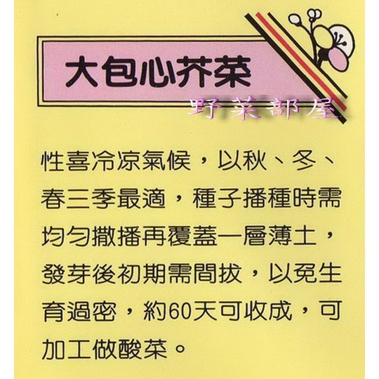 【萌田種子~】H05 大包心芥菜種子3.2公克(約1500粒種子) , 又稱駝背菜~-細節圖2