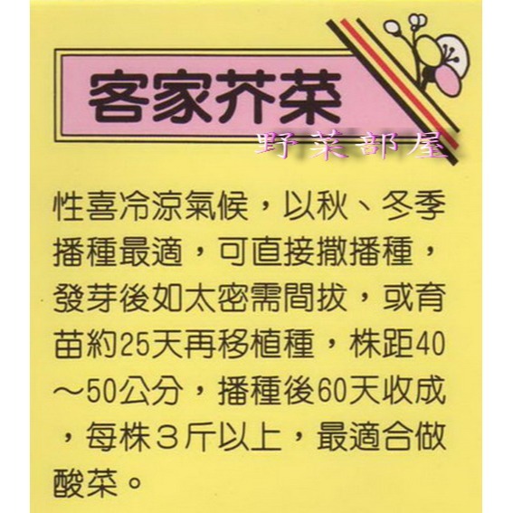 【萌田種子~】H06 客家芥菜種子2.7公克(約1000粒) , 又稱客家福菜~-細節圖2