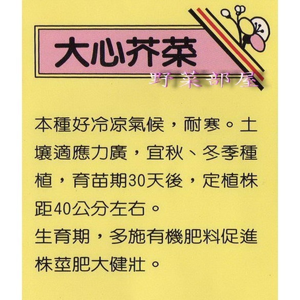 【萌田種子~】H07 大心芥菜種子2.1公克(約1500粒) , 中晚生品種 ,又稱為菜心~-細節圖2