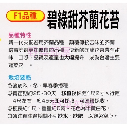 【萌田種子~】H15 碧綠甜芥蘭花苔種子0.7公克(約200粒) , 有甜度 , 品質佳~-細節圖2