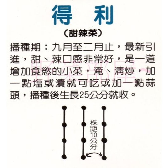 【萌田種子~】H18 甜辣菜種子3公克(約1500粒) , 雪裡紅 , 採收快~-細節圖2