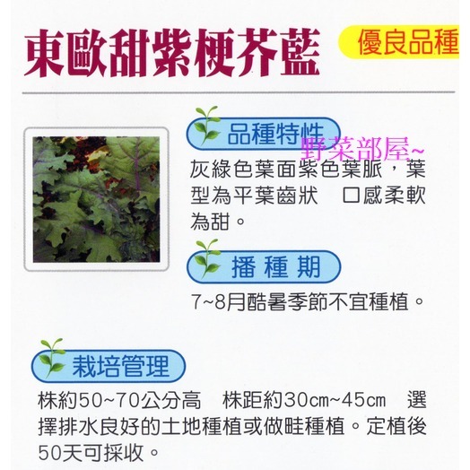 【萌田種子~】H24 東歐甜紫梗芥藍種子2.1公克(約600粒) ,葉片口感柔軟微甜~-細節圖2