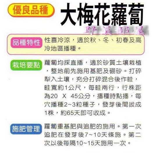 【萌田種子~】I01大梅花蘿蔔種子6公克(約500粒) , 極受好評~-細節圖2