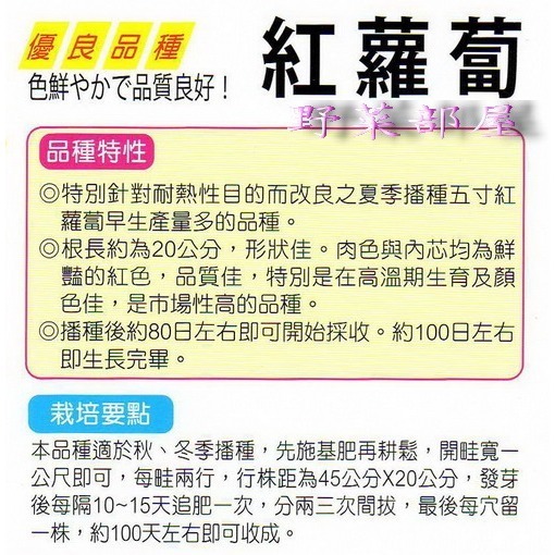 【萌田種子~】I05 日本紅心人參種子3.9公克 (約2500粒) , 紅蘿蔔 , 品質佳~-細節圖2
