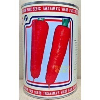 【萌田種子~】I05 日本紅心人參種子3.9公克 (約2500粒) , 紅蘿蔔 , 品質佳~-細節圖3