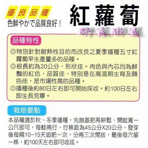 【萌田種子】I05 紅心人參種子3.9公克 (約2500粒) 五寸胡蘿蔔 紅蘿蔔 胡蘿蔔 品質佳~-細節圖2