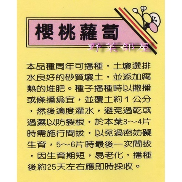 【萌田種子~】I07 日本櫻桃蘿蔔種子4.5公克(約400粒), 品質細嫩 ,赤丸櫻桃蘿蔔~-細節圖2