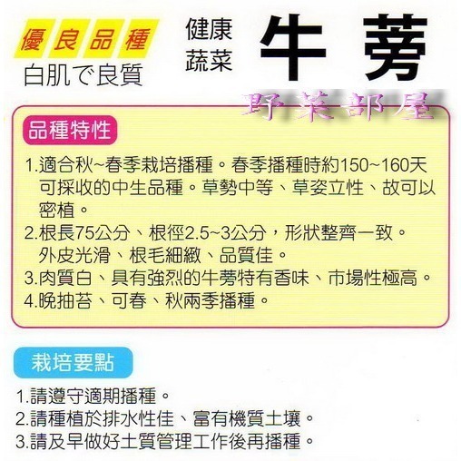 【萌田種子~】I10 日本牛蒡種子1.3公克(約100粒) , 品質佳 , 肉質白~-細節圖2