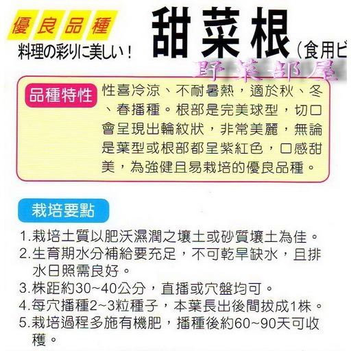 【萌田種子~】I12 甜菜根種子3公克(約200粒) , 好吃的生菜沙拉~-細節圖2