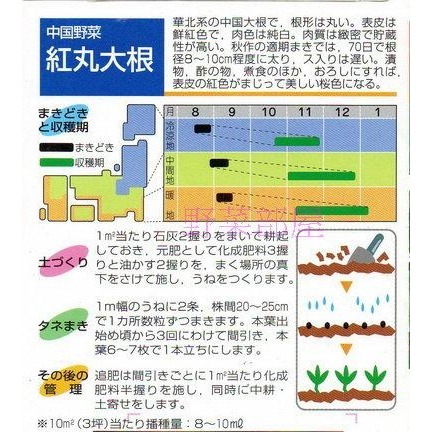 【萌田種子~】I21 日本紅丸大根種子1.2公克(約80粒) , 好彩頭 , 肉質細密~-細節圖2
