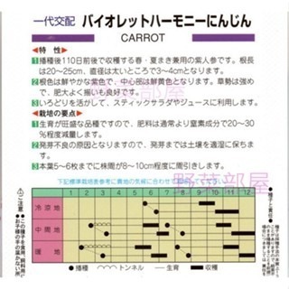【萌田種子~】I24 紫金胡蘿蔔種子 35 粒 , 相當特別的品種 ~-細節圖2