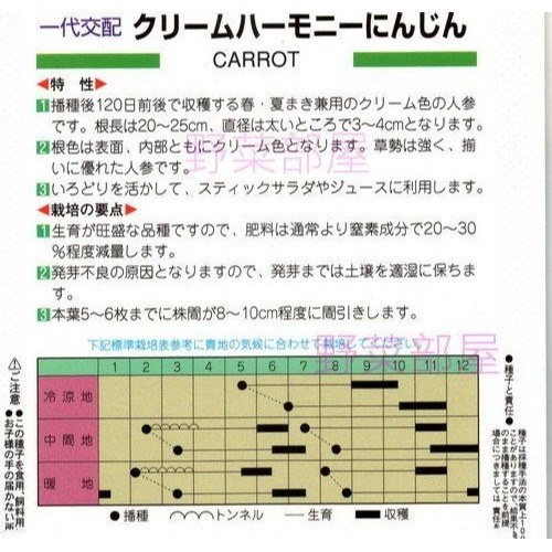 【萌田種子~】I27 日本奶油胡蘿蔔種子 35 粒 , 相當特別的品種 ~-細節圖2