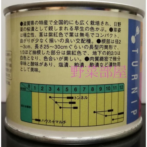 【萌田種子~】I41 日本紅白長型無菁種子0.2公克(約70粒) ,F1品種 , 肉質細密 ~-細節圖2