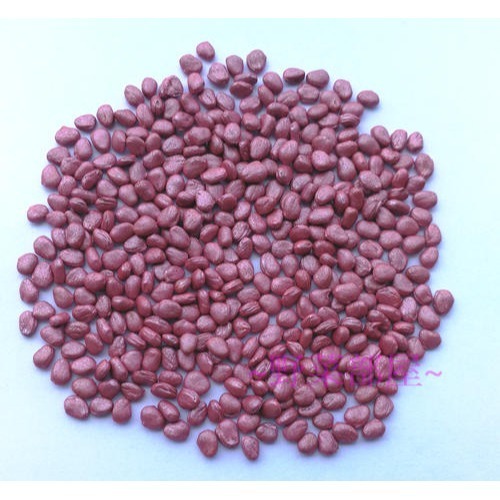 【萌田種子~】I45 永利蘿蔔種子1公克(約70粒) ,耐熱早生品種 , 口感佳~-細節圖2