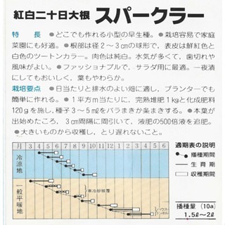 【萌田種子~】I52 紅白圓形小蘿蔔種子1.6公克(約150粒), 二十日早生品種 ,採收快~-細節圖2