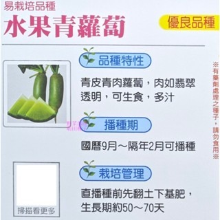 【萌田種子~】I61 水果青蘿蔔種子1公克(約120粒) , 青皮青肉蘿蔔 , 多汁 , 可生食~-細節圖2