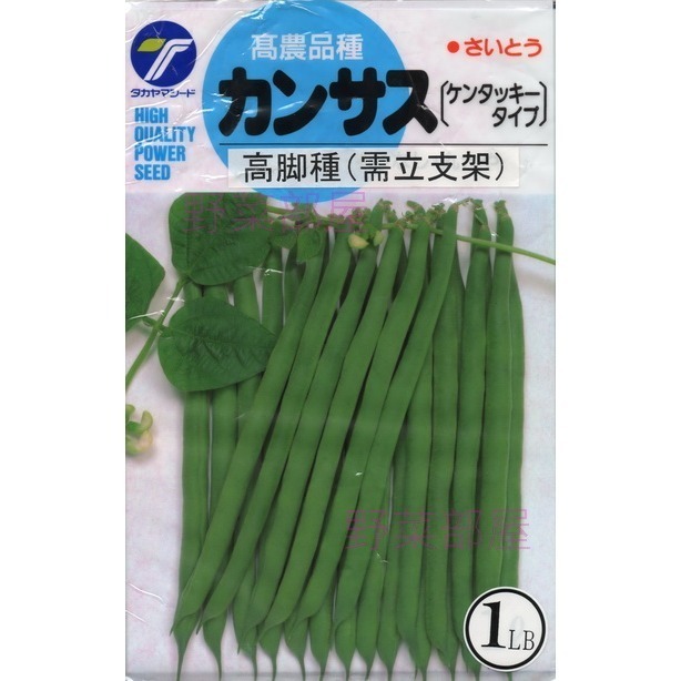 【萌田種子~】J01 日本高腳四季豆種子6.5公克(約20粒) , 俗稱＂高腳敏豆＂ ~-細節圖3