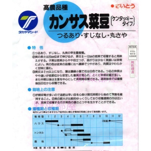【萌田種子~】J01 日本高腳四季豆種子6.5公克(約20粒) , 俗稱＂高腳敏豆＂ ~-細節圖4