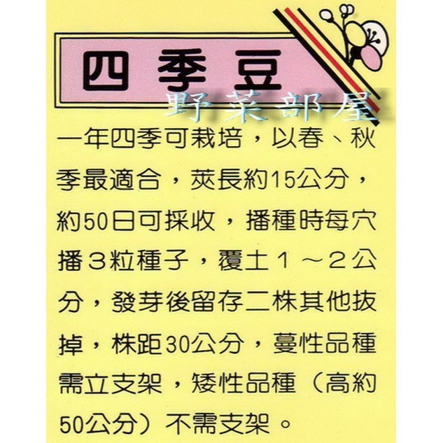 【萌田種子~】J02 矮腳四季豆種子10公克(約40粒) , 俗稱＂矮腳敏豆＂ ,日本進口種子 ~-細節圖2