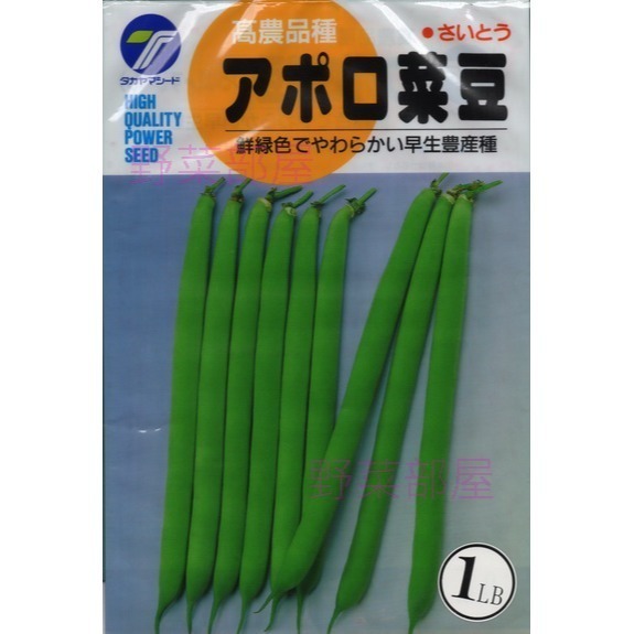 【萌田種子~】J02 矮腳四季豆種子10公克(約40粒) , 俗稱＂矮腳敏豆＂ ,日本進口種子 ~-細節圖3
