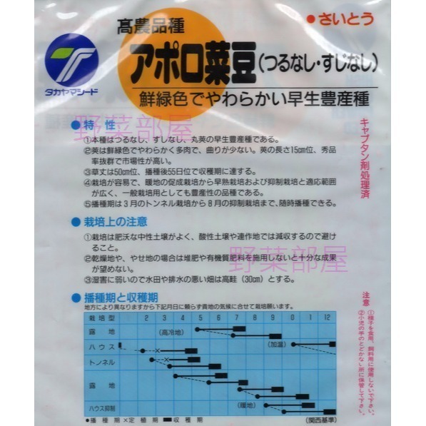 【萌田種子~】J02 矮腳四季豆種子10公克(約40粒) , 俗稱＂矮腳敏豆＂ ,日本進口種子 ~-細節圖4