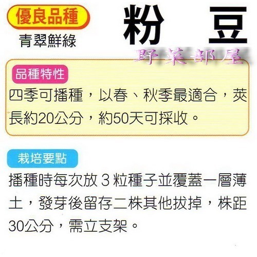 【萌田種子~】J03 圓莢粉豆(醜豆)種子18.5公克 (約55粒), 嫩莢口感豐富~-細節圖2
