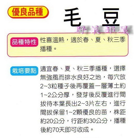 【萌田種子~】J04 毛豆種子22.5公克 (約45粒), 有「植物肉」之美名 ~-細節圖2