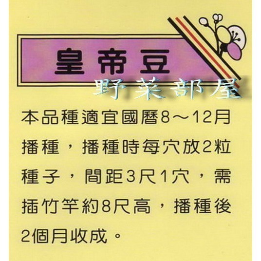 【萌田種子~】J05 皇帝豆種子10粒 , 風味絕佳~-細節圖2