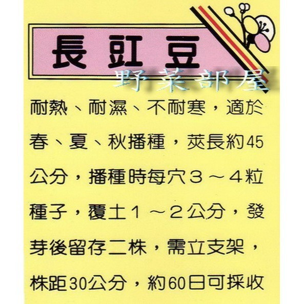 【萌田種子~】J06 長豇豆種子7.5公克(約60粒) 白仁菜豆 白仁白格長豆 菜豆 長菜豆~-細節圖2