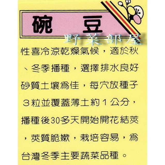 【萌田種子~】J07 豌豆種子24公克(120粒) , 又稱＂荷仁豆＂~-細節圖2