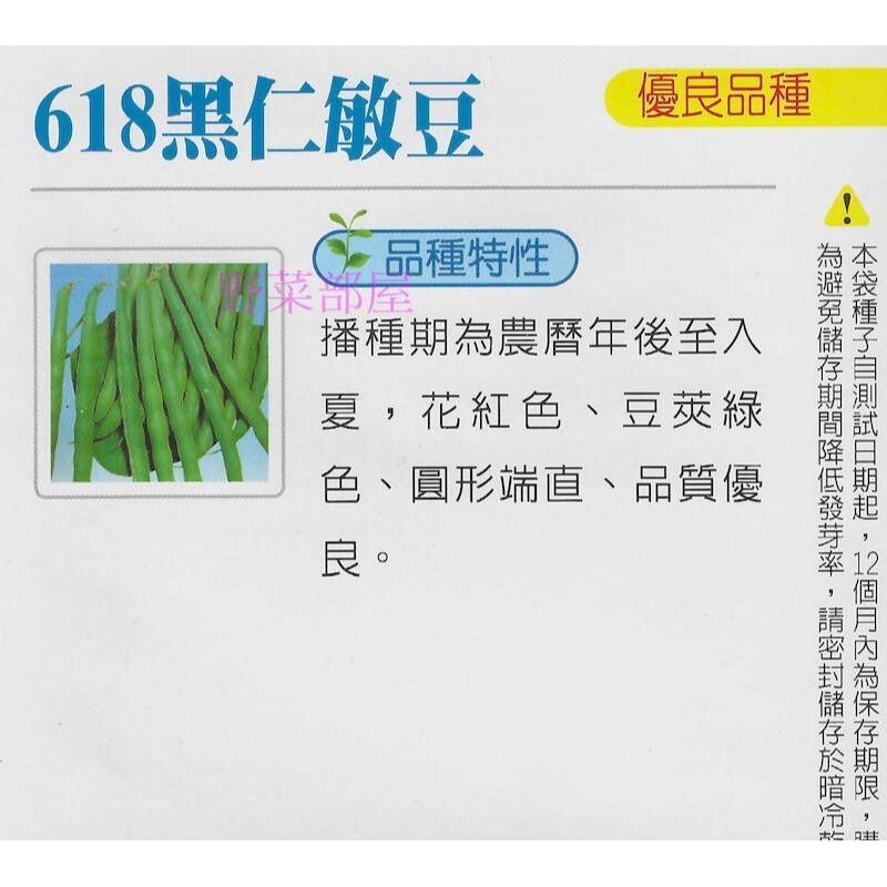 【萌田種子~】J11 618黑仁敏豆種子13公克(約50粒) ,高腳四季豆 ,高腳敏豆, 品質優良~-細節圖2