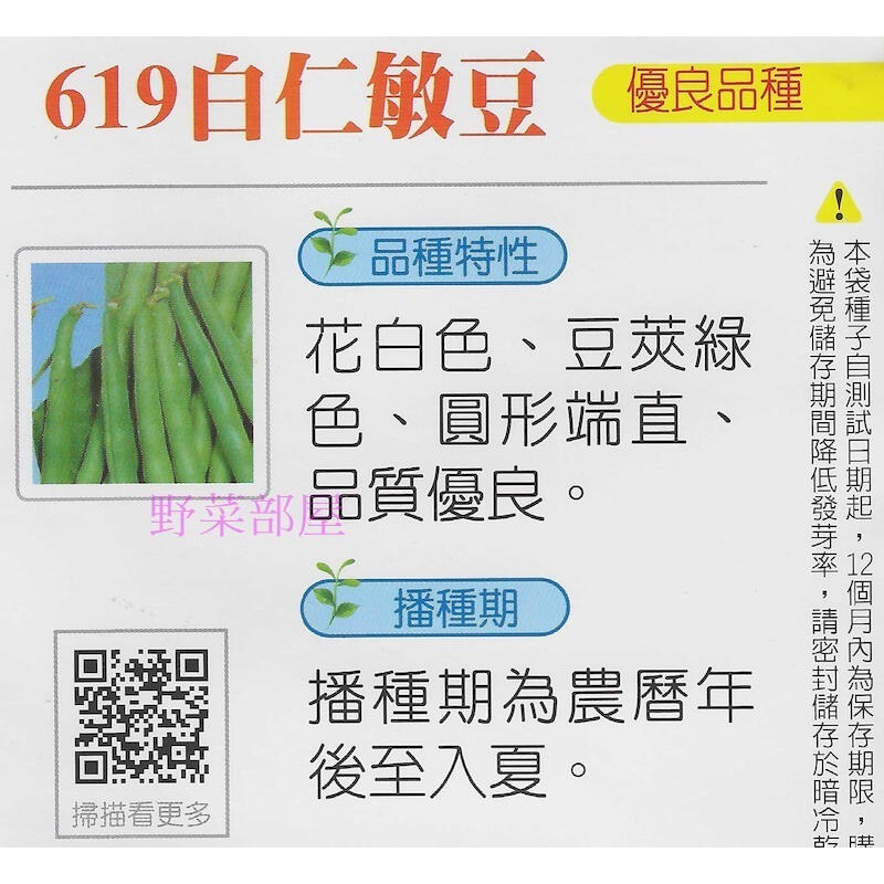 【萌田種子~】J15 619白仁敏豆種子13公克(約60粒) ,高腳四季豆 ,高腳敏豆 ,品質優良~-細節圖2