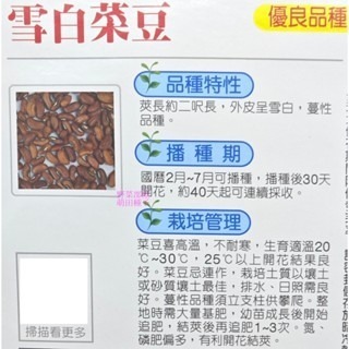 【萌田種子~】J29 雪白菜豆種子5公克(約30粒) ,外皮呈雪白色 ,蔓性品種~-細節圖2