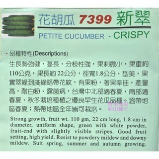 【萌田種子~】K03 新翠小黃瓜種子0.35公克(約12粒) ,早生 ,分枝性強 ,耐白粉病~-細節圖2