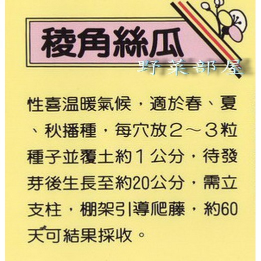 【萌田種子~】K07 長青綾角絲瓜(F1品種)種子2粒 , ,又名＂澎湖絲瓜＂ ,泰國進口種子~-細節圖2