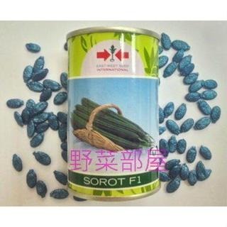 【萌田種子~】K07 長青綾角絲瓜(F1品種)種子2粒 , ,又名＂澎湖絲瓜＂ ,泰國進口種子~-細節圖3