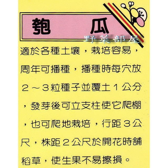 【萌田種子~】K08 目瓠種子10顆 , 匏瓜 ,栽培容易~-細節圖2