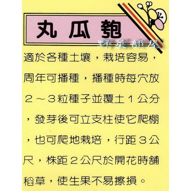 【萌田種子~】K09 丸花匏種子12顆 , 營養價值高~-細節圖2