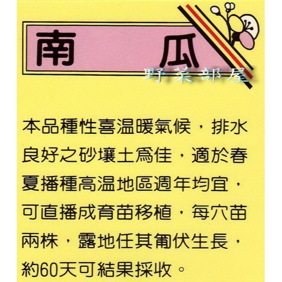 【萌田種子~】K10 金華木瓜型南瓜種子1.6公克(約20顆) , 生長旺 , 結果多~-細節圖2