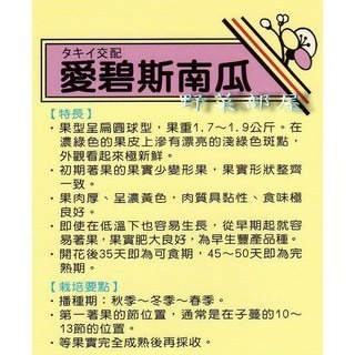 【萌田種子~】K11 日本愛碧斯南瓜種子3粒 , 含多種營養素的蔬菜 ~-細節圖2