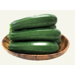 【萌田種子~】K12 抗病450夏南瓜種子2粒 450櫛瓜 櫛瓜 結果力強 抗病性佳 綠色櫛瓜~-細節圖2